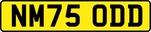 NM75ODD