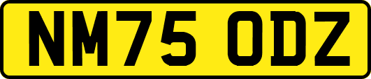 NM75ODZ