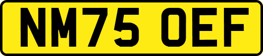 NM75OEF