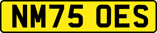 NM75OES