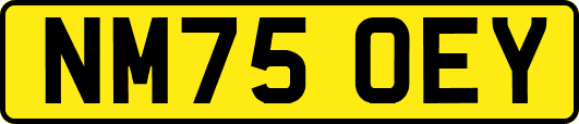 NM75OEY