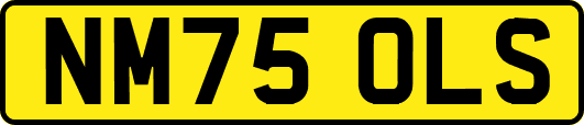 NM75OLS