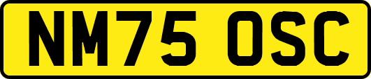 NM75OSC
