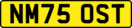 NM75OST