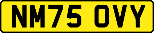 NM75OVY