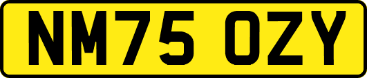 NM75OZY