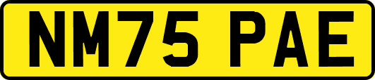 NM75PAE