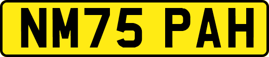 NM75PAH