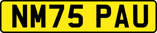 NM75PAU