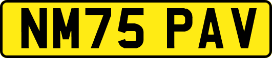 NM75PAV