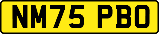 NM75PBO