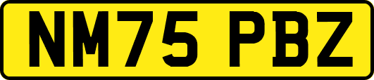 NM75PBZ