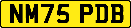 NM75PDB
