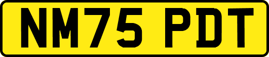 NM75PDT