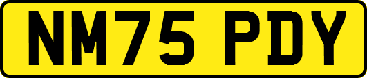 NM75PDY
