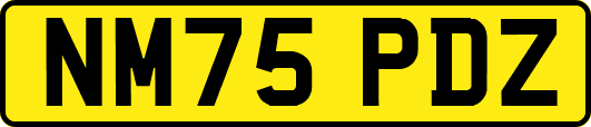 NM75PDZ