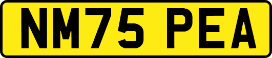 NM75PEA