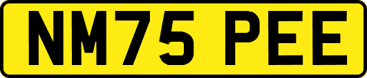 NM75PEE