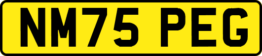 NM75PEG
