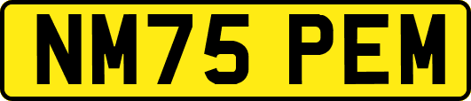 NM75PEM