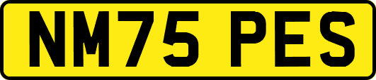 NM75PES