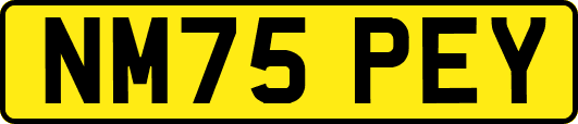 NM75PEY