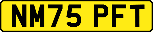 NM75PFT