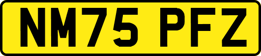 NM75PFZ