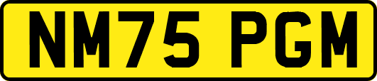 NM75PGM