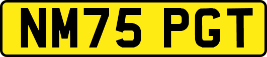 NM75PGT
