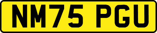 NM75PGU
