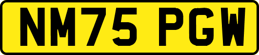 NM75PGW