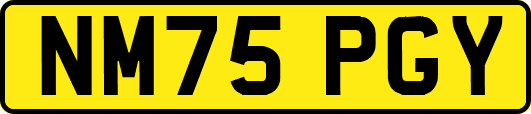 NM75PGY
