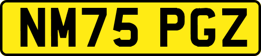 NM75PGZ