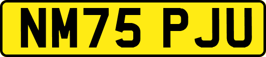 NM75PJU
