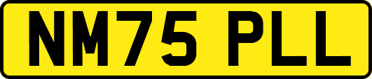 NM75PLL
