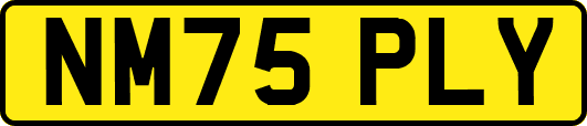 NM75PLY