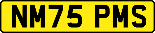 NM75PMS