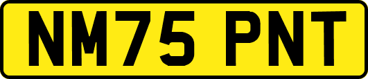NM75PNT