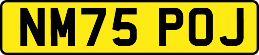 NM75POJ