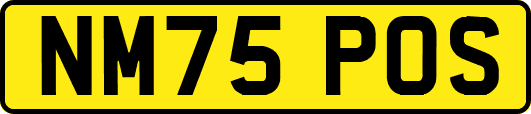 NM75POS