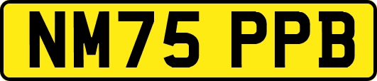 NM75PPB