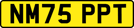 NM75PPT
