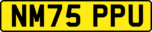 NM75PPU