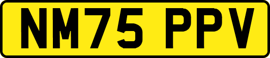 NM75PPV