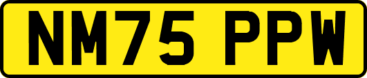 NM75PPW