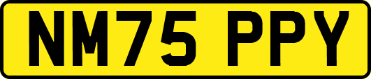 NM75PPY