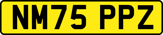NM75PPZ