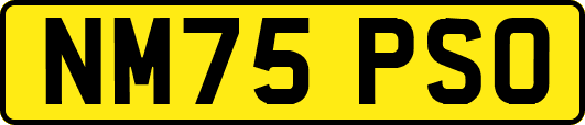 NM75PSO