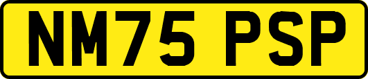 NM75PSP